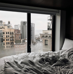 cozytreehouse:  Cozy in New York. 🍁  (weheartit.com)