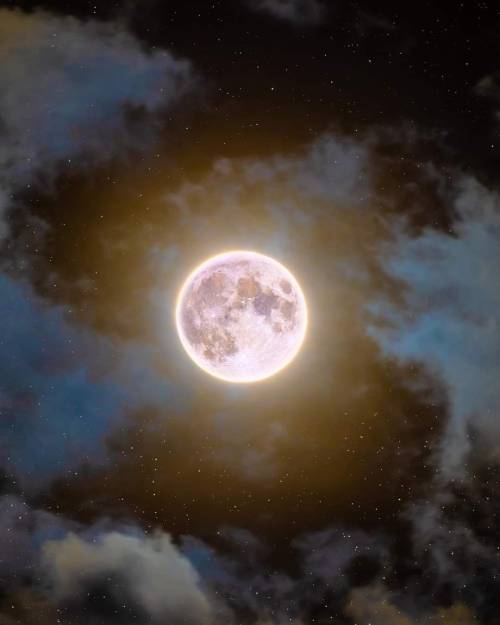 "The Moon Knows "