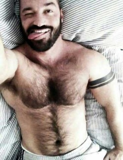 Follow my two hairy men blogs: http://sambrcln.tumblr.com http://hairysex.tumblr.com