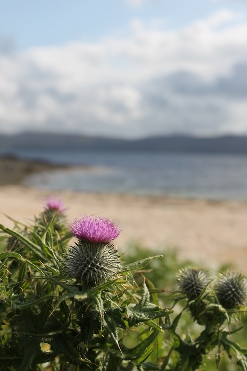~ at the Coral Beach, Isle of Skye ~