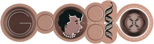 coolchicksfromhistory:Google Doodle celebrating the birthday of Rosalind Franklin (1920-1958).  The 