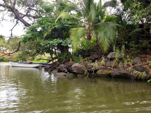 Porn idriver-art:  Lake Nicaragua and the jungle photos