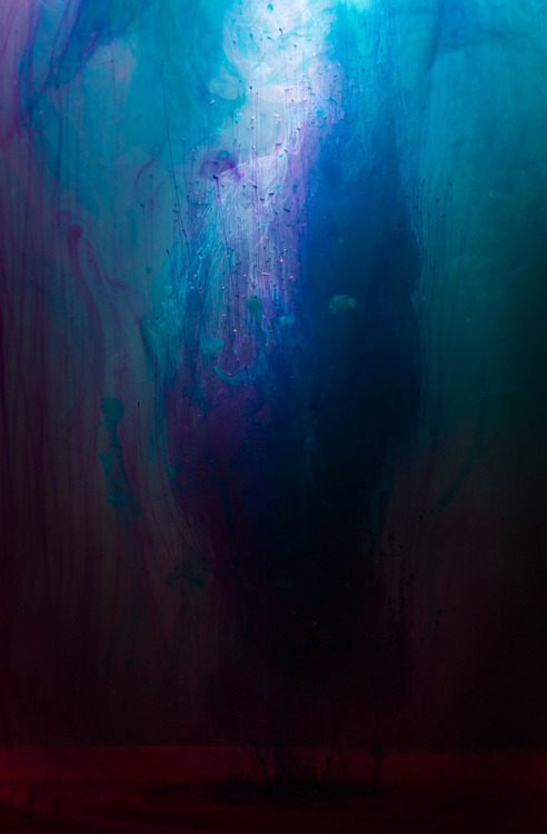 likeafieldmouse:  Luka Klikovac - Demersal (2012) - Various kinds of colored fluid in water 