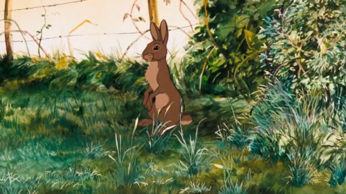 creek-nymph:Watership Down (1978)