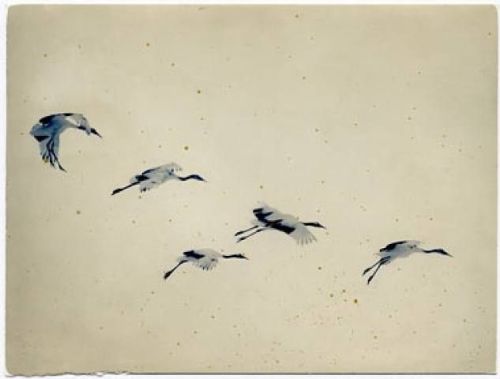 Masao Yamamoto