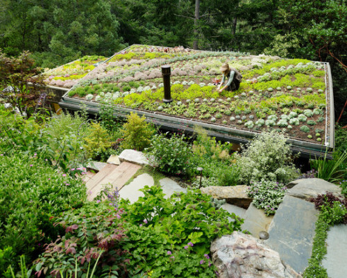 solarpunknetwork:solarpunk and green roofsgrass roofs have been employed for centuries in northern e