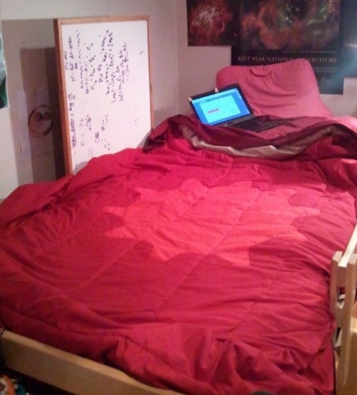 plushestrumpest:  mamakarkat:  hemospectrum:  cairovercoat:  27teacups:  Rebloggable version requested!  INGREDIENTS FOR GOD TIER BED: Read More  softly whispers holy shit  ref  i’M GONNA MAKE A BLOOD ONE THAT’S WHAT I’M GONNA DO  I desperately