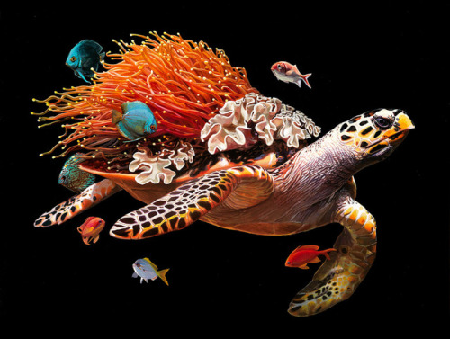 supersonicart: Lisa Ericson’s “Mobile Habitats” at Antler Gallery. Currently on view at Antler Galle