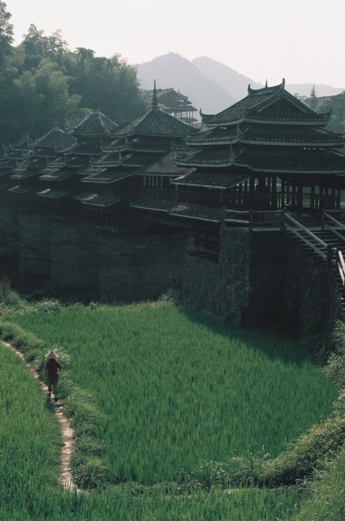 Chengyang Bridge, China (2013) (by camillaroad)