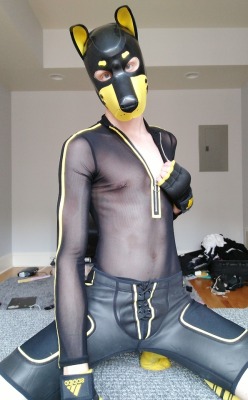 pup-rolo: Serving Kill Bill vibes in my brand