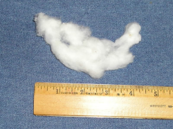 facts-i-just-made-up:  penticostal:  facts-i-just-made-up:  The smallest cloud ever recorded was only about 4 inches long. Spotted hanging so low in the sky it could be collected in a jar, the cloud didn’t dissipate for almost 3 years due to its density
