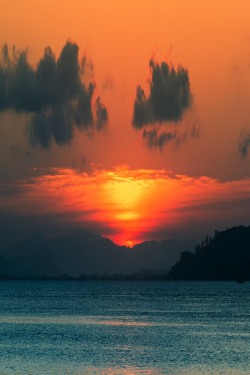 mifalsasonrisa:  Orange Sunset by Walter