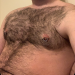 hairychestperfection2: