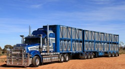 semitrckn:  Mack Superliner custom Terd herder road train 