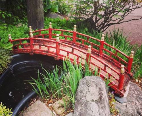 Buddhist temple in Morioka ^^ &mdash;&ndash; #japan #japanese #asia #日本 #instagood #instatravel #fol