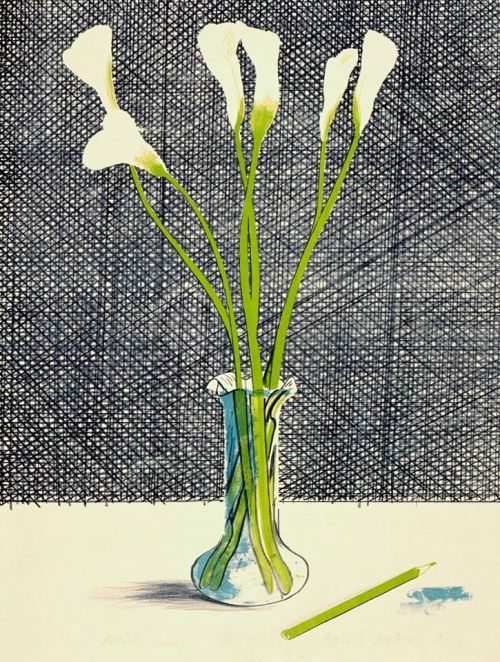 David Hockney | Lillies | 1971