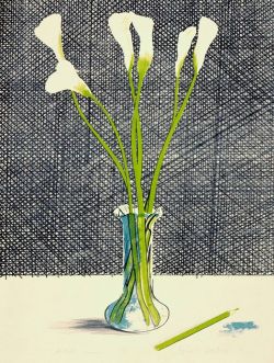 mesnuitsfragiles:    David Hockney, “Lillies”, 1971   