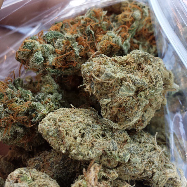 weedporndaily:  BarryWhite or WhitewidowOG?? by @siraynot