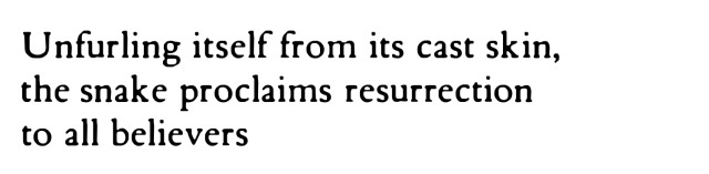 derangedrhythms:Margaret Atwood, Interlunar; from ‘Metempsychosis’