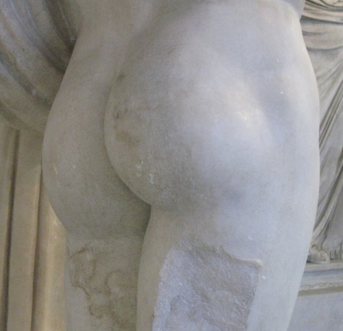 fuckingromans:sherllllock:national gallery, rome: marble butts appreciation#arse gratia artis