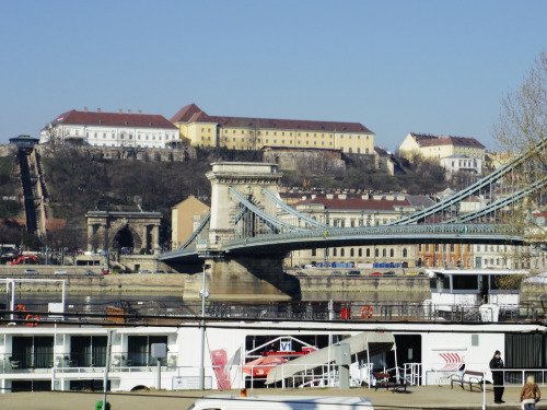 My trip to Budapest -Castle and Funicular-ライオンが至る所に。プラハ滞在中に聞いたのですが、当時は実際にライオンを飼っていたとか、、ブダ城もそうだったのでしょ