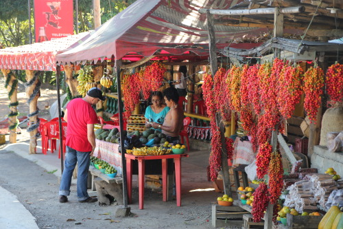 thewindblowsthewaterflows:It wasn’t difficult to find quite a nice variety of fruits in Colomb