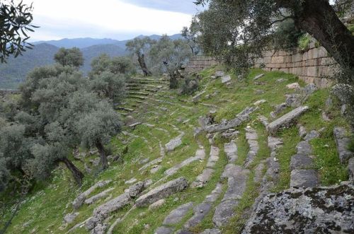 historyfilia:The ruins of the early 2nd century BC Roman theatre, Alinda, Turkey