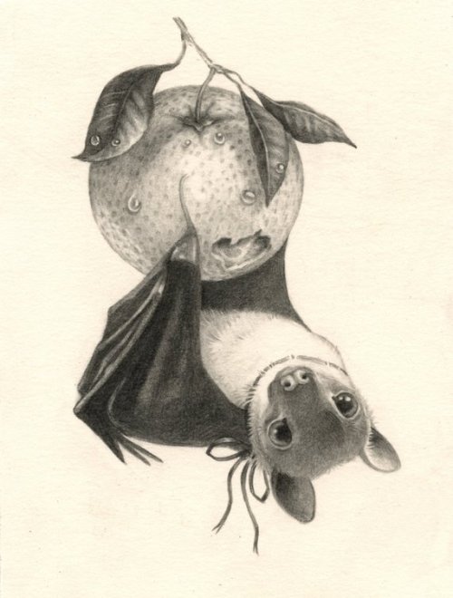 littlealienproducts: Fruit Bat Print by KatieGamb