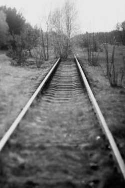 paulina-wielewicka:  Old tracks. Osieczna,