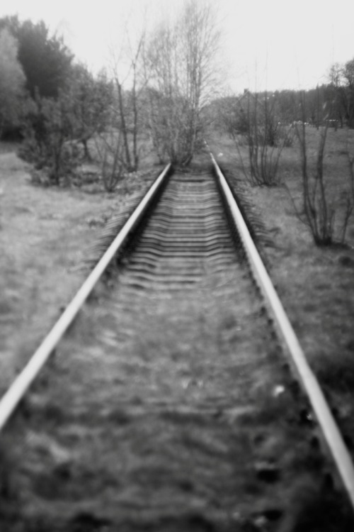 paulina-wielewicka:  Old tracks. Osieczna, Poland. 