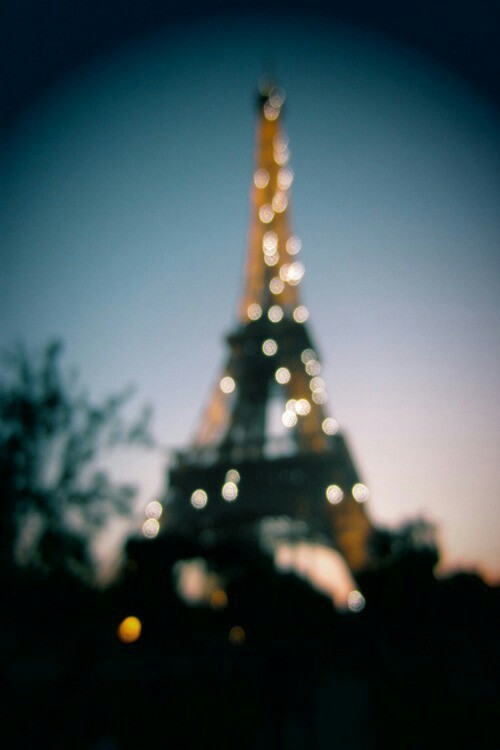 megseier7:  { following back lots } 