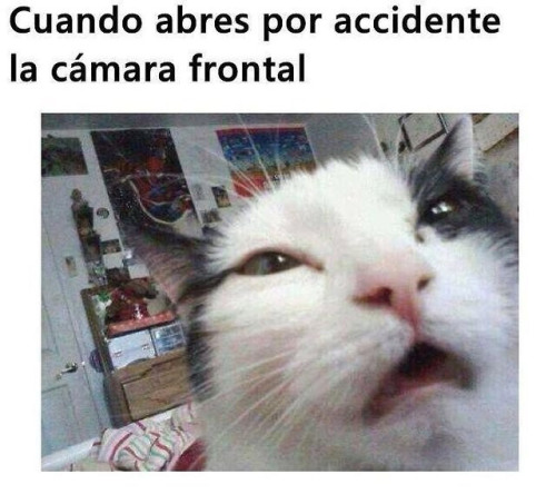 risasinmas:  Cuando abres por accidente la cámara frontal