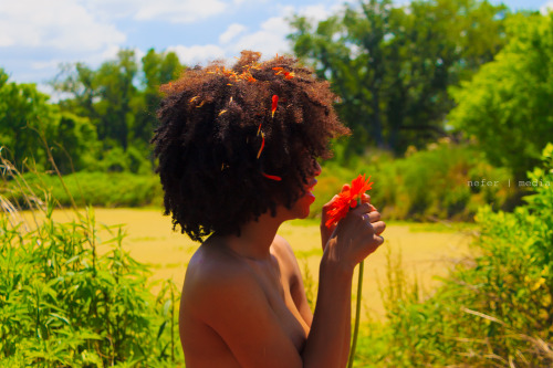 curly-essence: harlquin-tiki:  neferbadmon:  kierrawest | Growth | Eye’d by neferbadmon Flickr.com/NeferMedia  She’s topless, but not sexual.   http://curlyessence.com/ 