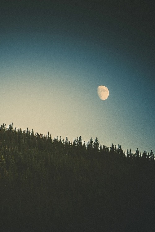 vomitandonutella12:  (4) Tumblr on We Heart It - http://weheartit.com/entry/53830921/via/photorohugrafhy