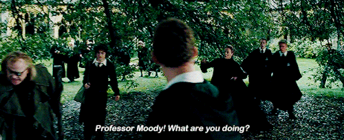 wizardingworld:Technically it’s a ferret.