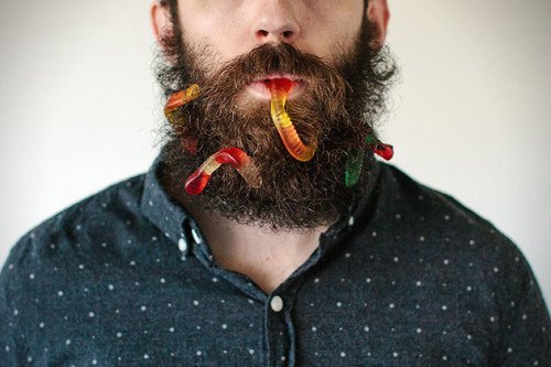 brain-food:  Photographer Stacy Thiot’s Tumblr project, Will It Beard, involves her husband’s beard and sticking as many unusual things as she can find in the thick thicket of facial hair—and then taking photographs of it.