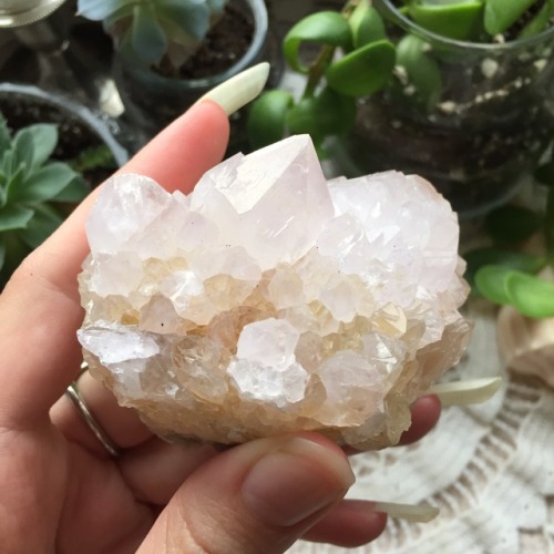 floralwaterwitch:My lovely spirit quartz cluster ✨