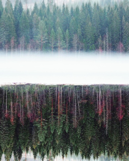 crossconnectmag:  Photography by Sandra Linnell Sandra Linnell is a 36 years old self-taught photographer, based in Stockholm, Sweden. She shoots a lot of nature and lifestyle photography using an Olympus OMD EM-10 and is an ambassador of the brand. 
