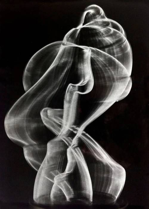 nobrashfestivity:  Heinz Hajek-Halke Embrace (Umarmung)1947-51Gelatin silver print15 5/8 x 11 3/8″ (39.7 x 29.0cm)Gift of the artist