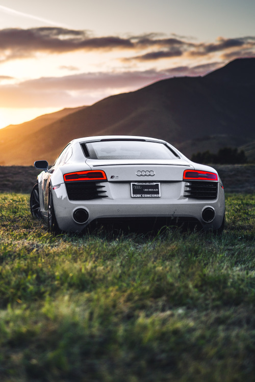 guywithacamera415:  One of my best shots… 