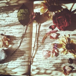 re-examine:  :  vintageteagarden:  Flowers and lace shadows, because because because. ॐ free your mind ॐ    