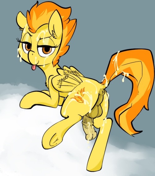 Daily clop dump