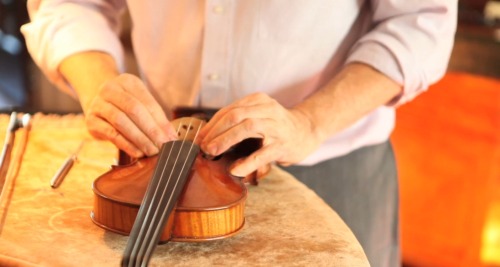 timinglight:A master craftsman making a high-quality violin