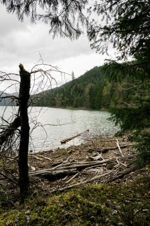 Hills Creek Lake, Oregon, USA