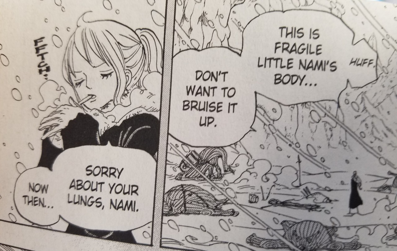 Sunny S Thousand Tales Nami Is Not Just A Hot Body To Sanji Sunny S Thousand Tales Nami Is Not Just A Hot Body To Sanji