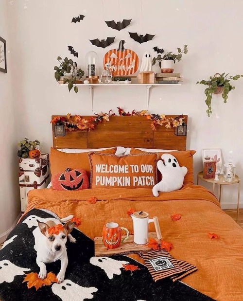 How Would You Decorate Your Room For Halloween?