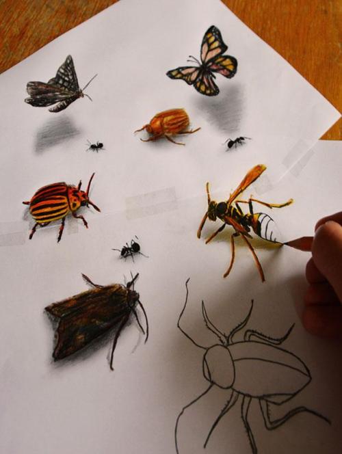 odditiesoflife:  Incredible 3D Optical Illusion Pencil Drawings Ramon Bruin, a self-taught artist from the Netherlands has created a new set of incredibly realistic 3D pencil drawings. In this highly talented man’s hands, a sheet of white paper and