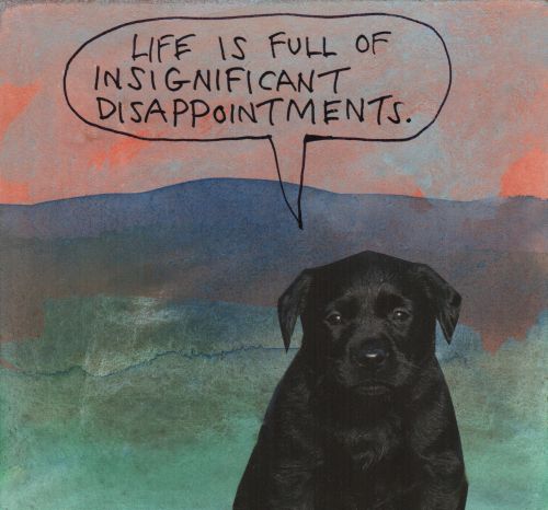 stoicmike:Life is full of insignificant disappointments. – Michael Lipsey