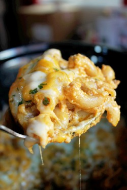yumi-food:Mac and Cheese with Six Cheeses*drool*