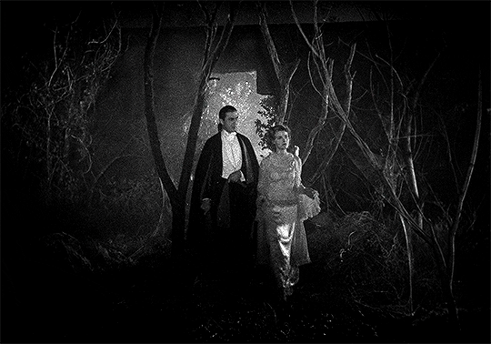 cinemaspam:  To die, to be really dead… that must be glorious! Dracula (1931) dir. Tod Browning 